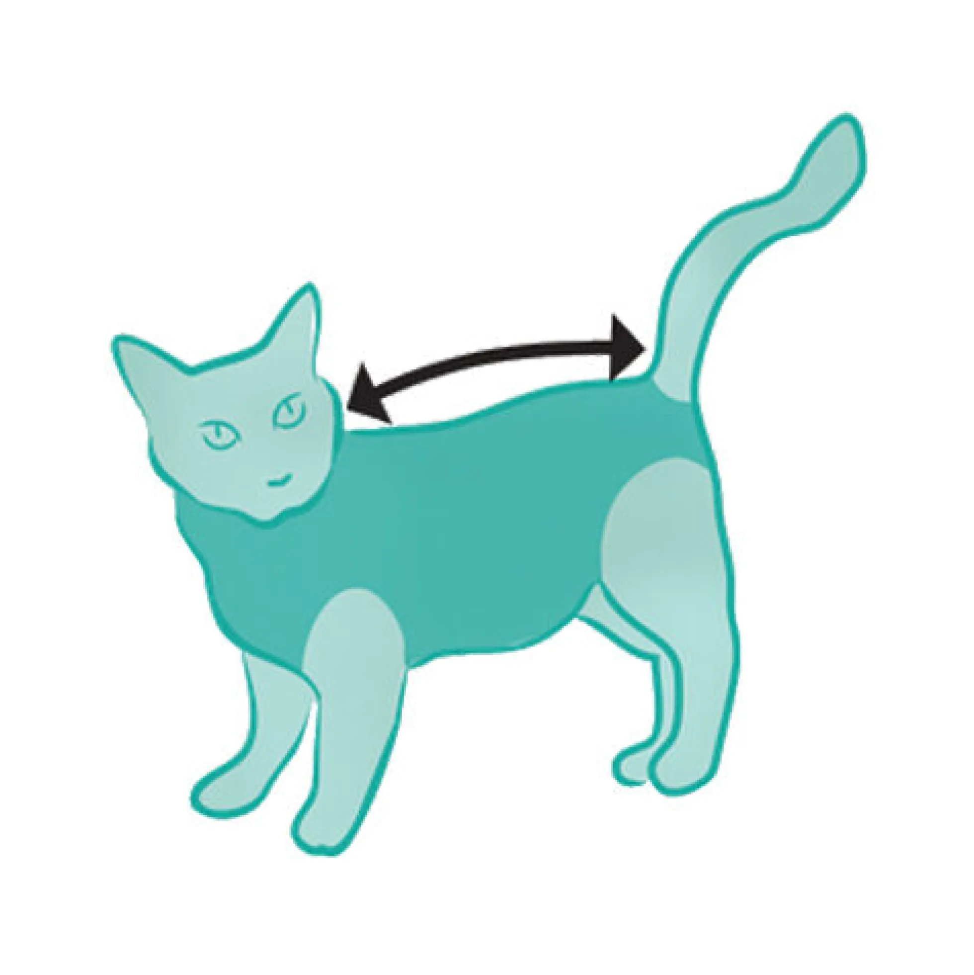 Suitical Recovery Suit Gatto