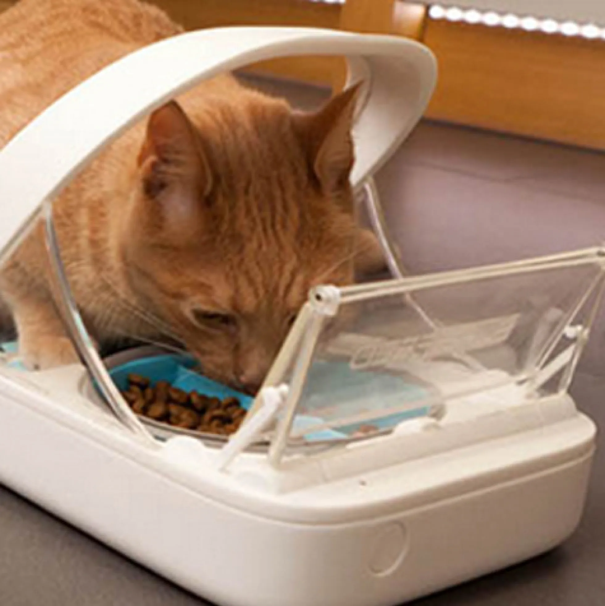 SureFeed Distributore con Microchip