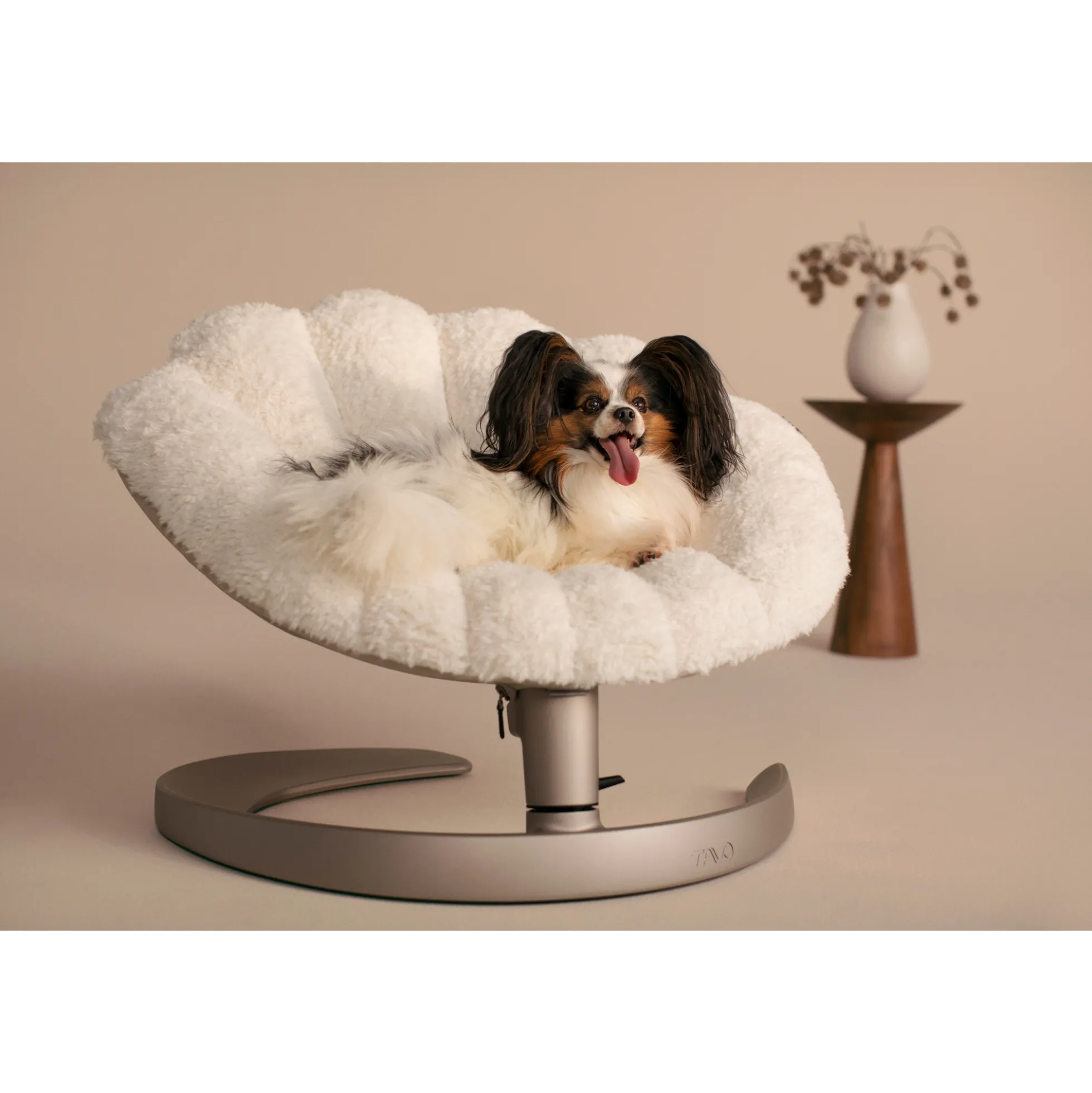 Tavo Pets Shell