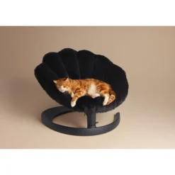 Tavo Pets Shell