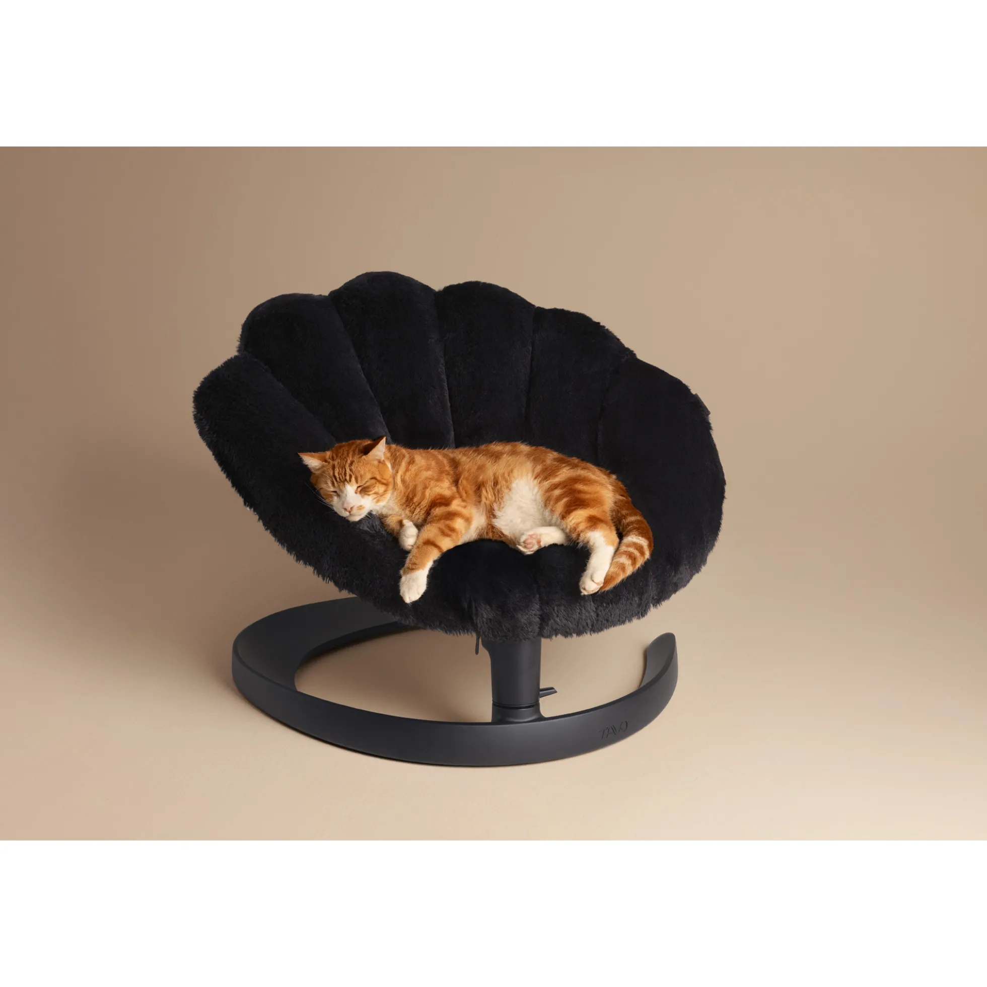 Tavo Pets Shell