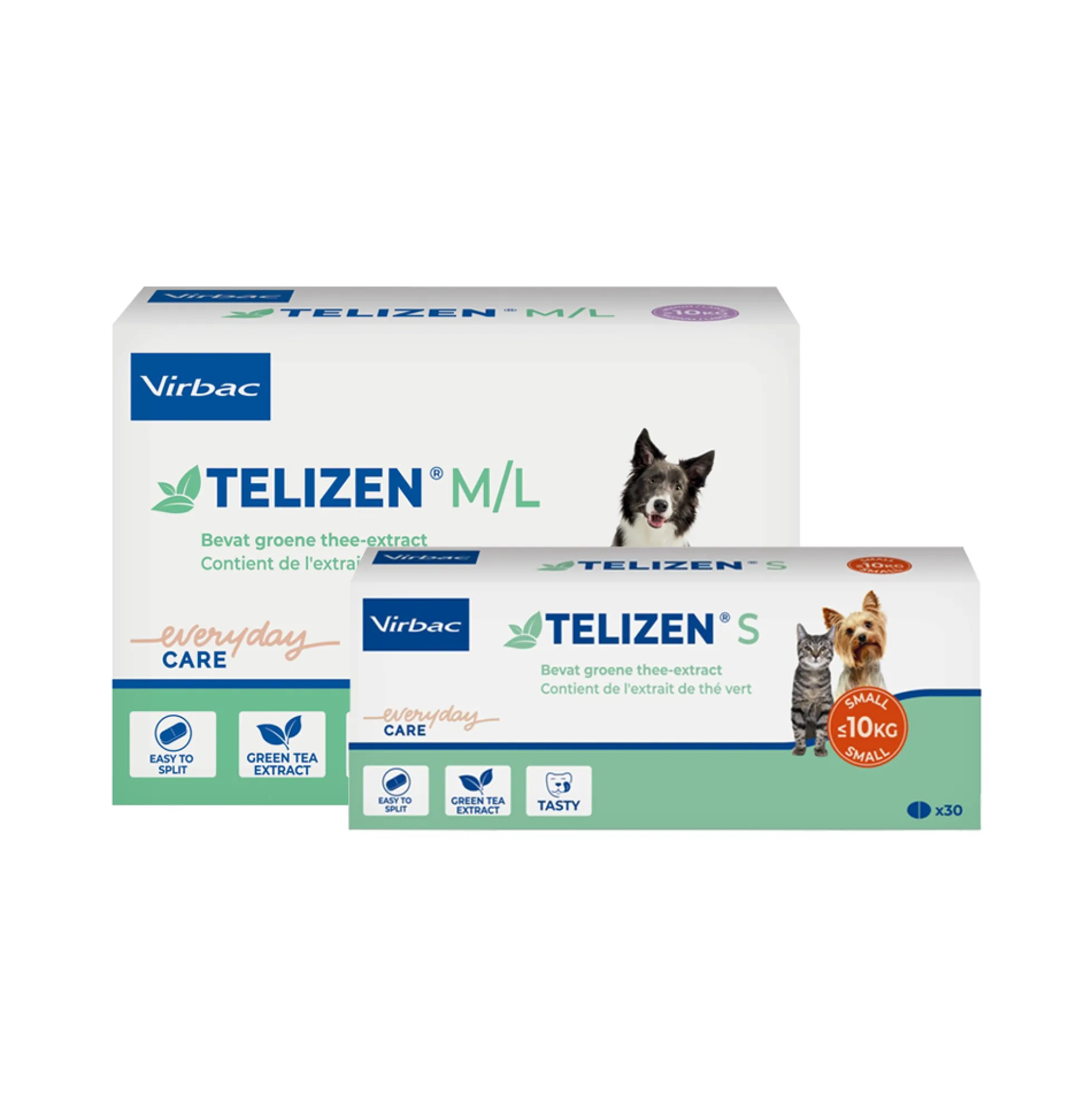 Telizen