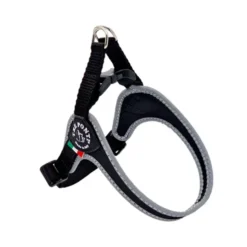 Tre Ponti Fibbia Basic Riflessione
