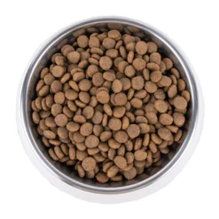Vetality Hypoallergenic - Cibo per Cani