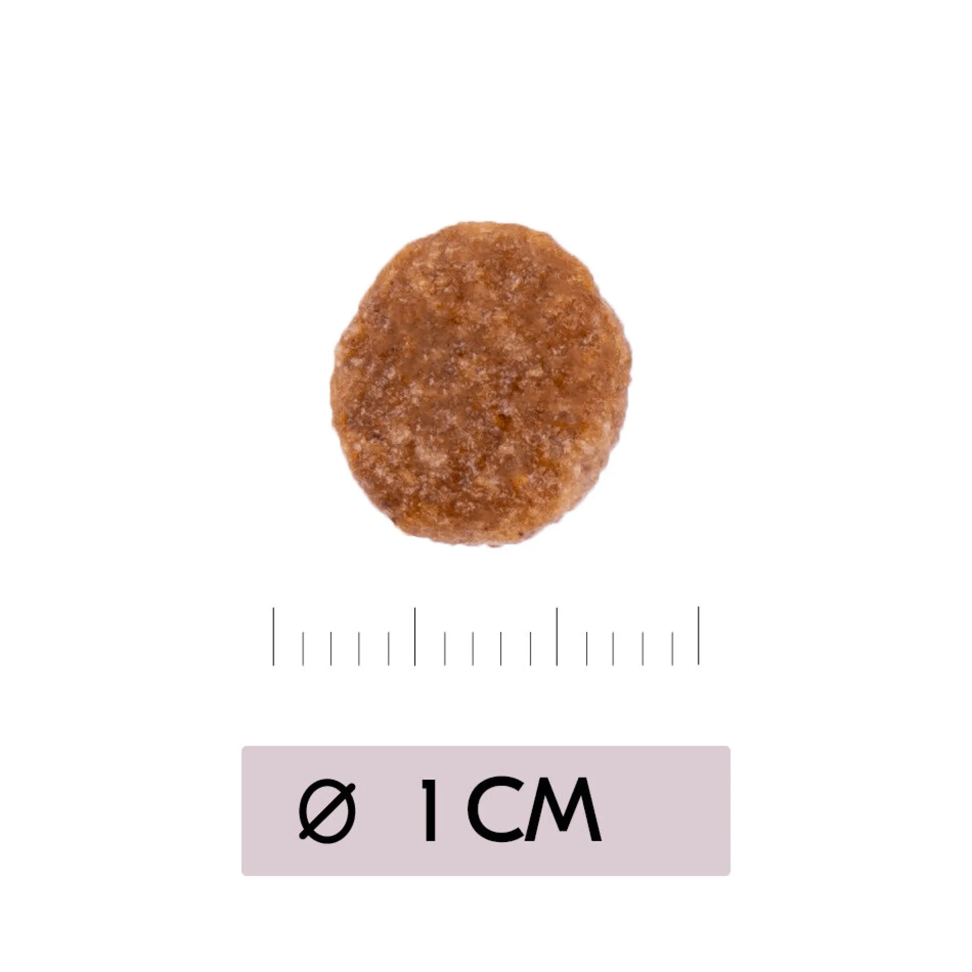 Vetality Renal - Cibo per gatti