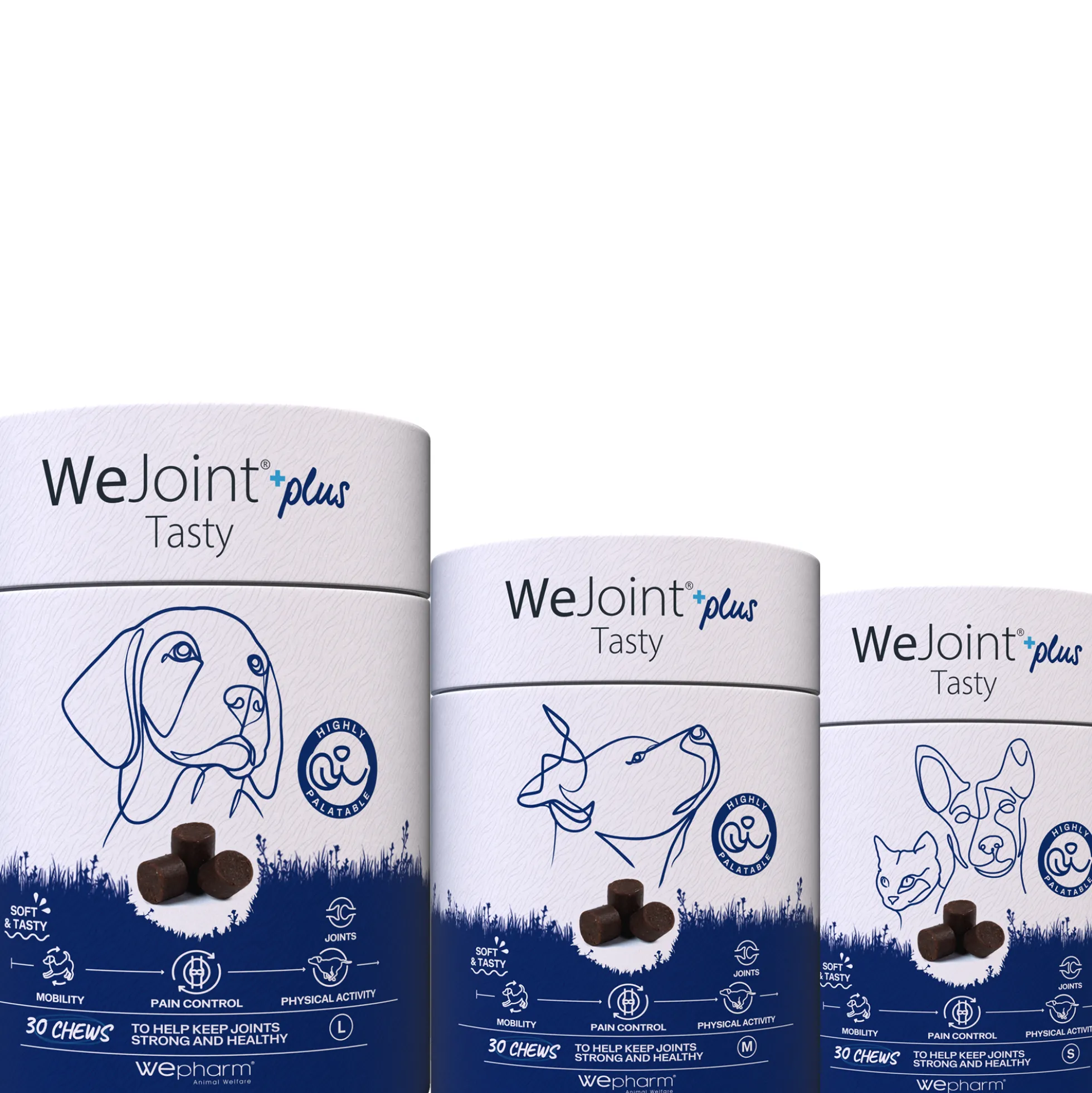 WePharm WeJoint Plus Tasty