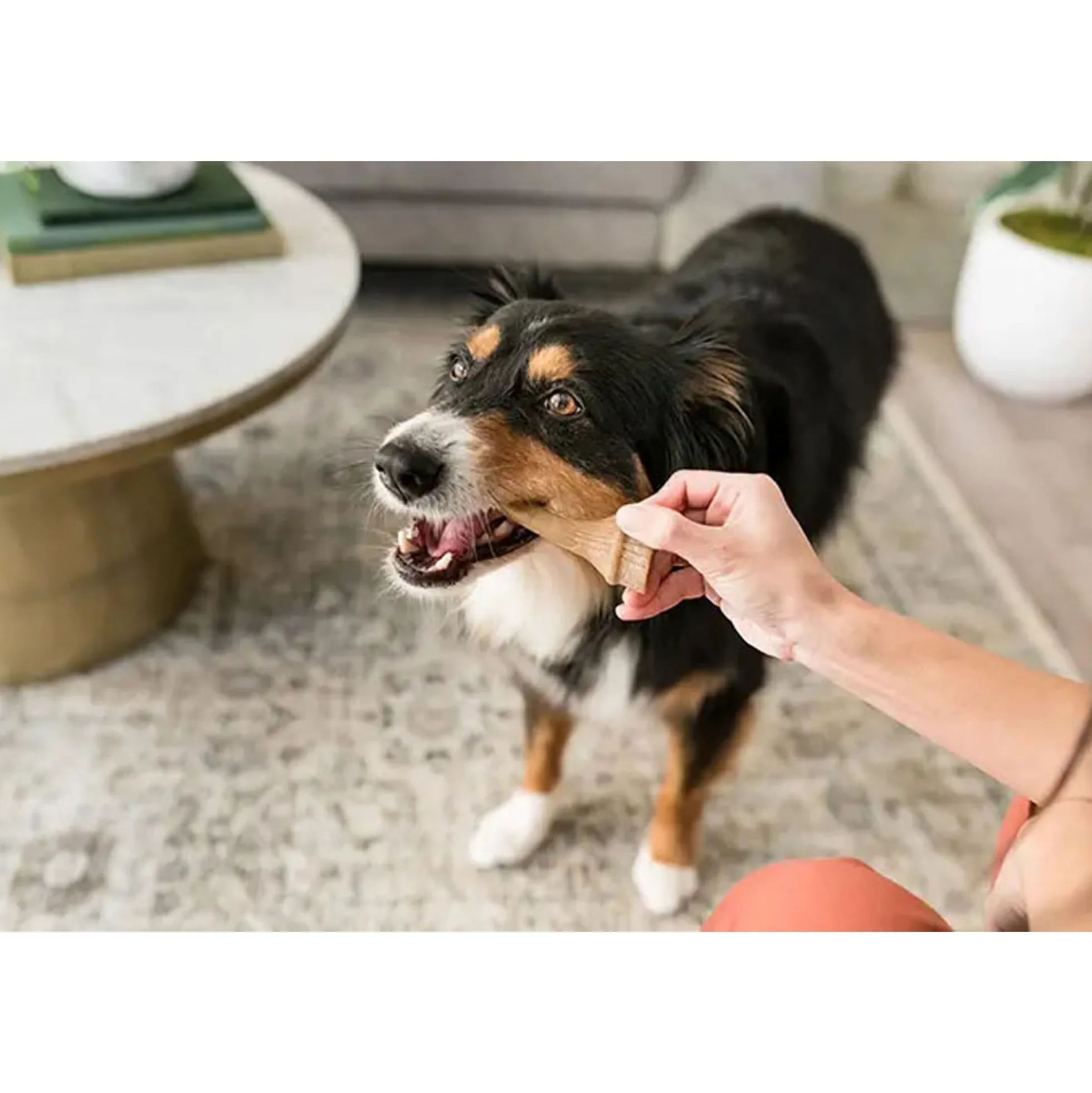 Whimzees Antler Dental Treats