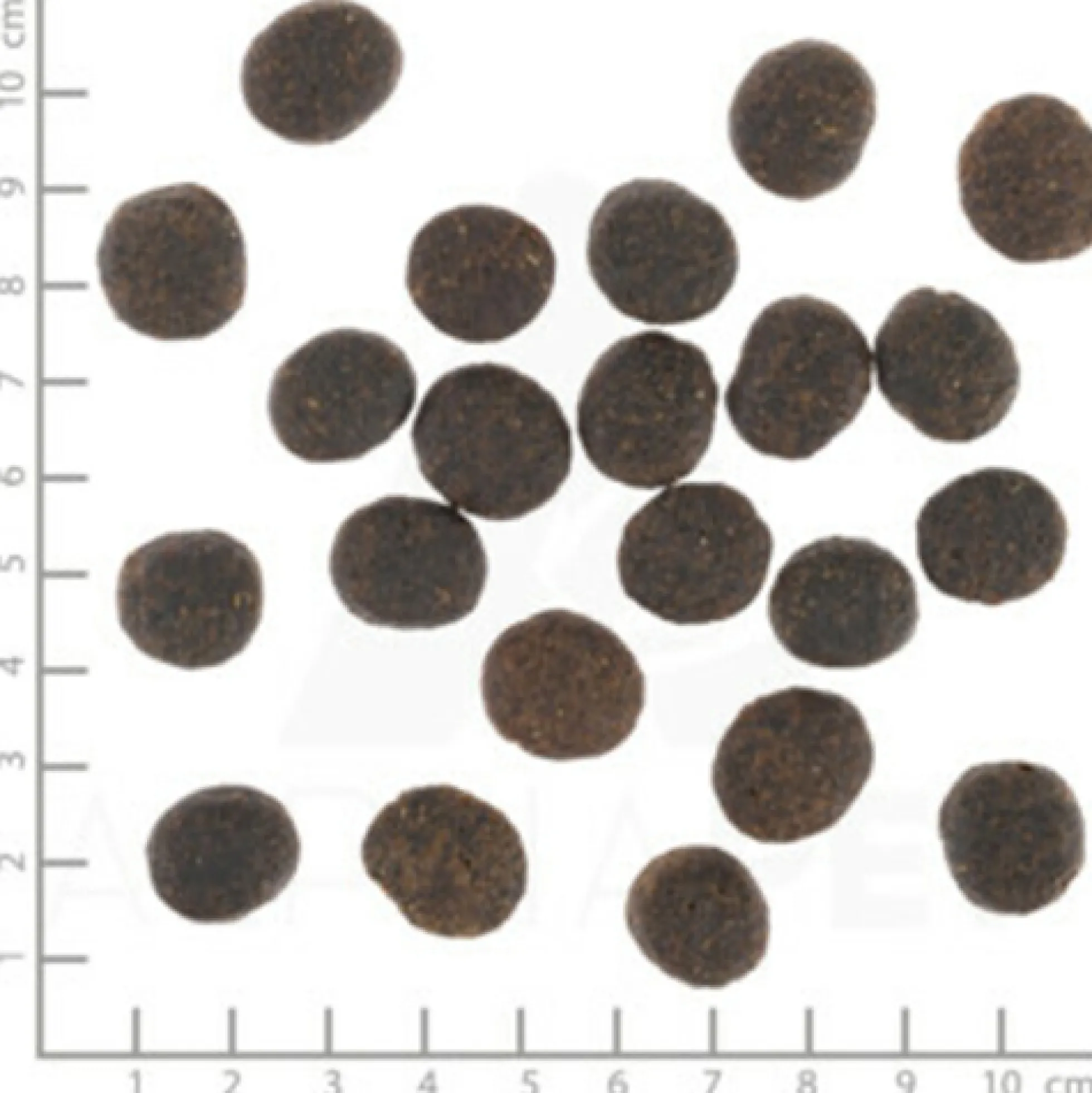 Wolfsblut VetLine Joint Care - Cibo per Cani