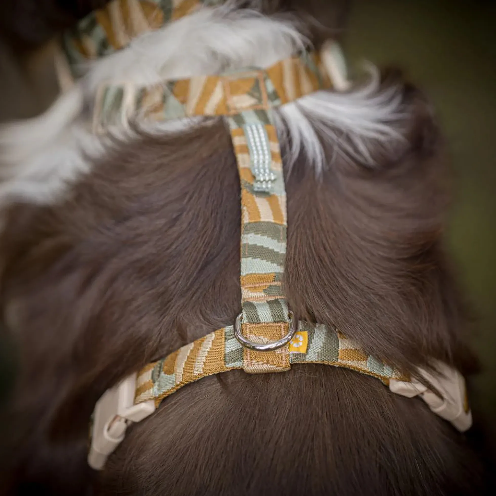 Woolly Wolf Cloudbeam Harness